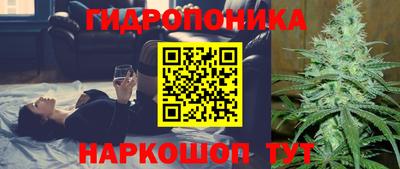 молекула духа Северобайкальск