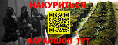 a pvp Севастополь