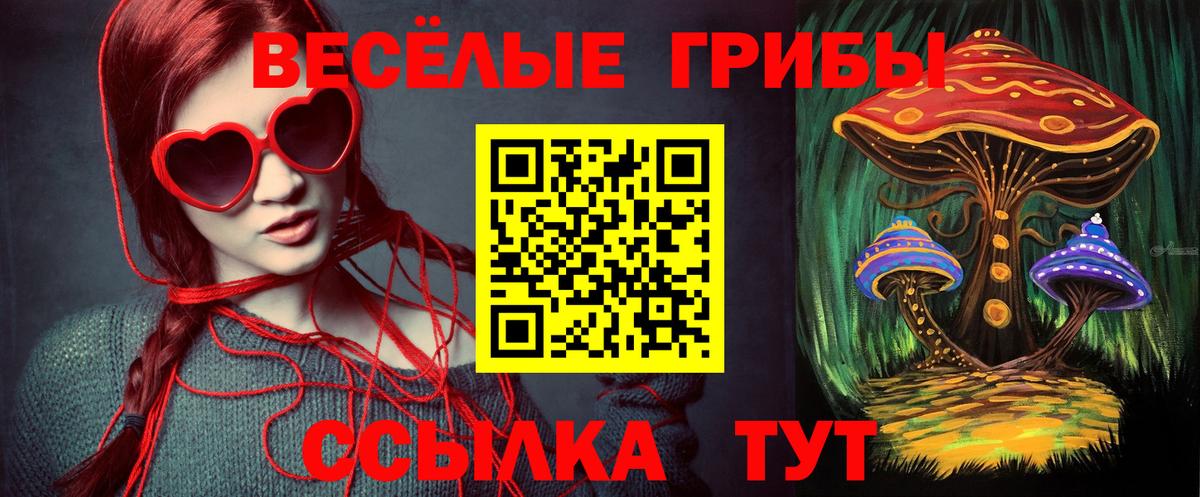 Галлюциногенные грибы Psilocybe Партизанск
